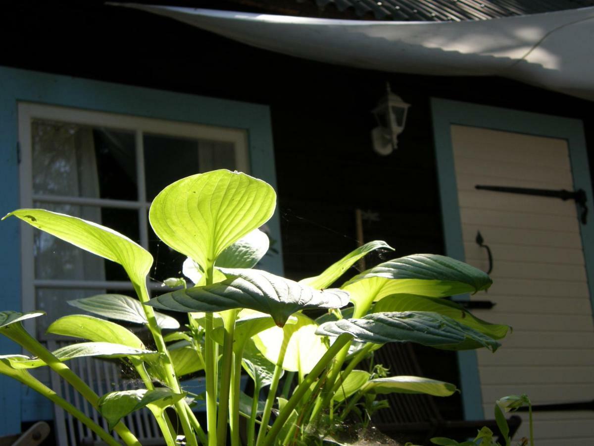 Ranna Villa Farm Kudema Exterior foto